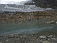 CH, Wallis, Saas Fee, Feegletscher 46, Saxifraga-Willem van Kruijsbergen